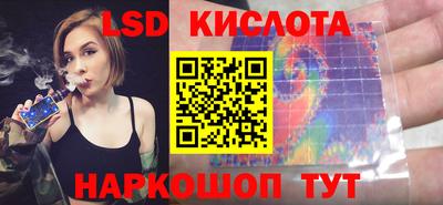 прущие грибы Первоуральск
