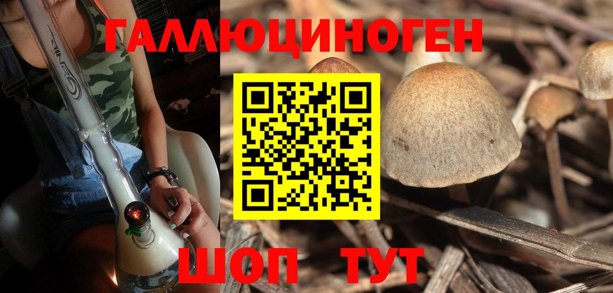 купить наркотик  Вход с VPN  Обь  Псилоцибиновые грибы GOLDEN TEACHER 